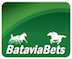 Batavia Bets Logo